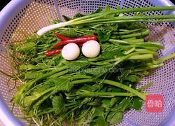 凉拌南瓜藤的做法图解1