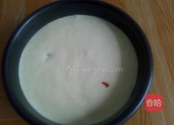 蔓越莓炼乳蛋糕的做法图解14