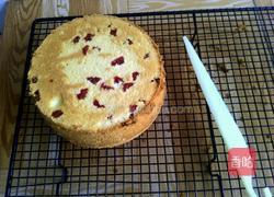 蔓越莓炼乳蛋糕的做法图解17