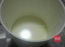 酸奶酪的做法图解5
