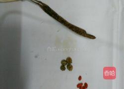 决明子杞菊水的做法图解1