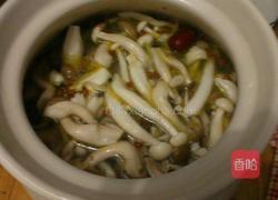 蘑菇炖鸡的做法图解5