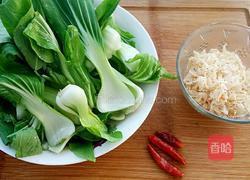 油菜炒虾皮的做法图解1