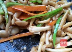 素炒白玉菇的做法图解7