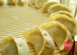 油菜虾仁水饺的做法图解15