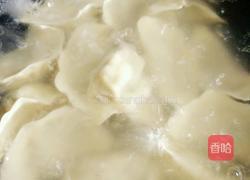 油菜虾仁水饺的做法图解17
