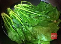 水煮菠菜的做法图解3