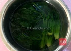 水煮菠菜的做法图解4
