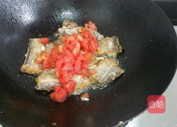 番茄鱼块的做法图解8