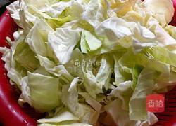 炝圆白菜的做法图解2