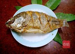 香煎罗非鱼的做法图解8