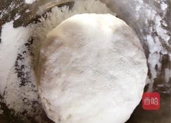 番茄鸡蛋蝴蝶面的做法图解3