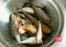 砂锅鱼的做法图解1