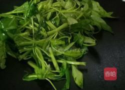 蒜蓉空心菜的做法图解4
