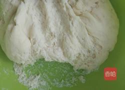 三色萝卜丝包子的做法图解10