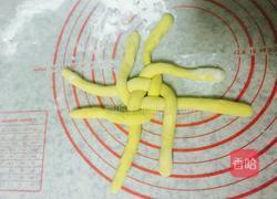 花样南瓜豆沙馒头的做法图解4