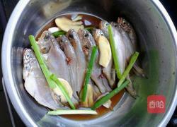 干烧黄花鱼的做法图解1