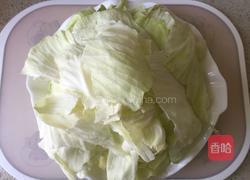 辣炒圆白菜的做法图解1