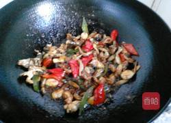 红烧田鸡的做法图解13