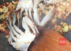 螃蟹粉丝煲的做法图解7