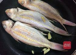 番茄红烧鱼的做法图解5