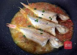 番茄红烧鱼的做法图解11