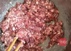 胡萝卜羊肉丸水饺的做法图解2
