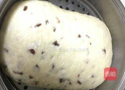 蜜饯千层蒸饼的做法图解16