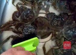 椒盐虾蟹的做法图解2