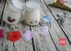 蜂蜜酸奶的做法图解6