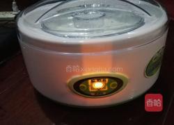 蜂蜜酸奶的做法图解5