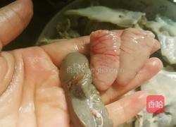 清蒸甲鱼的做法图解8