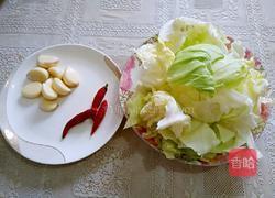 酸辣洋白菜的做法图解1