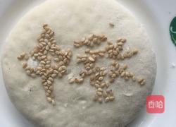 糖饼的做法图解6