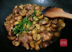 红烧栗子鸡的做法图解8