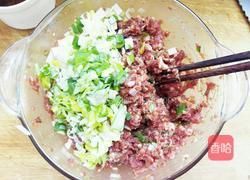 羊肉饺子馅的做法图解7