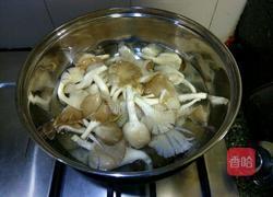 鲜菇芹菜鱿鱼丝的做法图解4