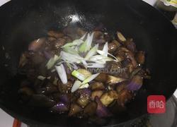 豆鼓茄子的做法图解7