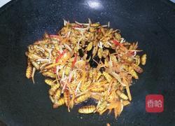 爆炒蚕蛹的做法图解7