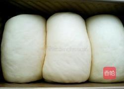 土司面包的做法图解17