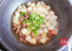 牛肉炖萝卜土豆的做法图解9