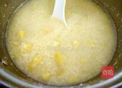 红薯小米粥的做法图解4