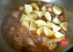 家常大盘鸡的做法图解9