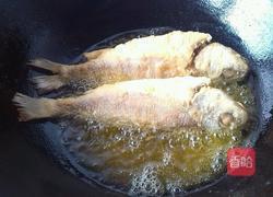 西红柿炖黄鱼的做法图解5