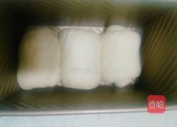 北海道吐司的做法图解11