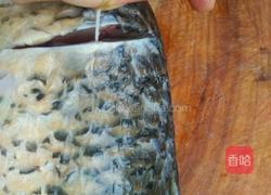 糖醋鲤鱼段的做法图解1