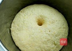 豆渣方瓜葱油卷儿的做法图解8