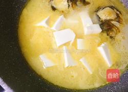 鲢鱼头炖豆腐的做法图解10