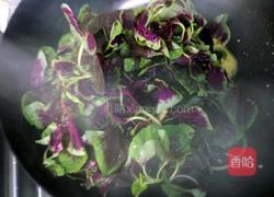 蒜泥苋菜的做法图解2