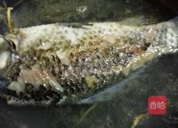 鸡蛋鲫鱼汤的做法图解6